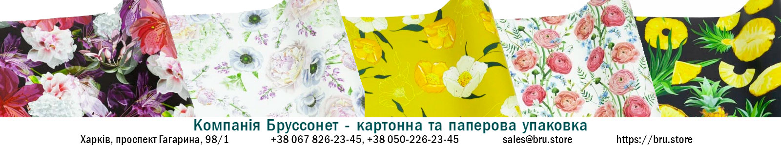 Подарочная бумага с природными мотивами: от фруктов до кактусов