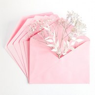 tsvetnye-konverty-kategory