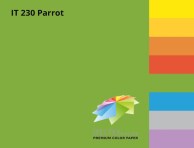 Зеленая Цветная бумага А3 пл. 80 г/м² SPECTRA COLOR | Купить в BruStore