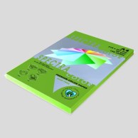 Ярко-зеленая Цветная бумага А4 пл. 160 г/м² SPECTRA COLOR | Купить в BruStore
