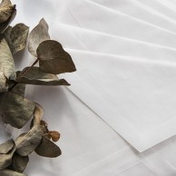 Конверт из кальки белый С6 (90г/м2) 114х162 мм с треугольным клапаном-2